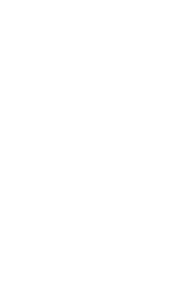 Registro Único Nacional de Tránsito, RUNT